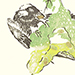 Shiseki So Gallery